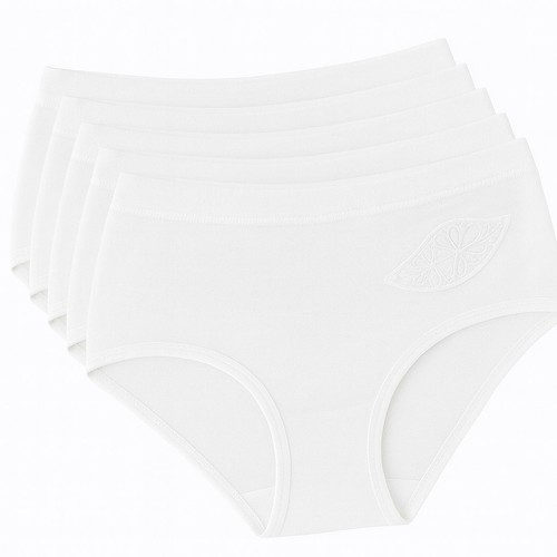 Damenslip taillen slip m - |, taillen-slip